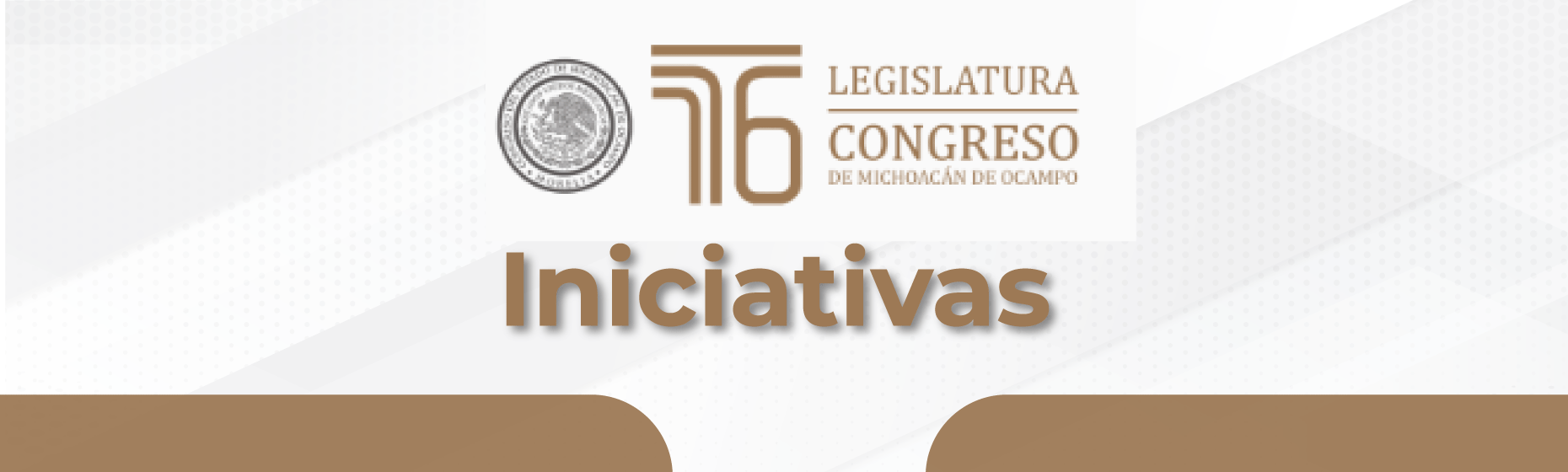 Iniciativas