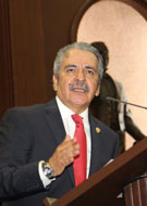 Dip. Mario Armando Mendoza Guzmán
