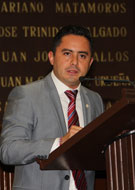 Dip. Roberto Maldonado Hinojosa