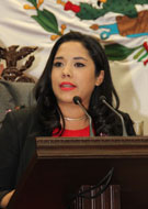 Dip. Xochitl Gabriela Ruíz González